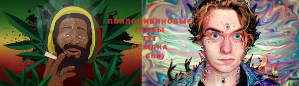 ALPHA PVP Осташков