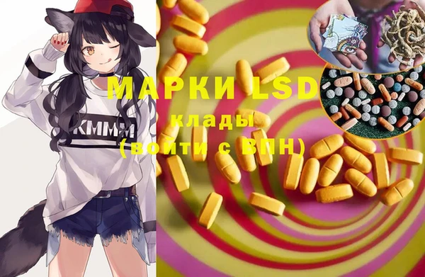 стаф Няндома