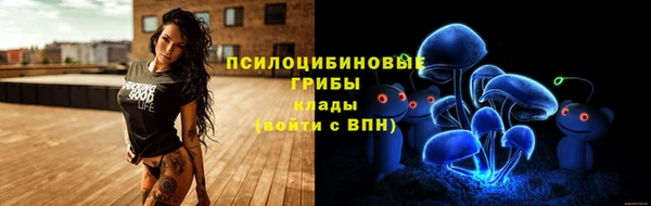 стаф Няндома