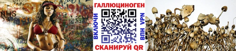 купить  сайты  Струнино  Псилоцибиновые грибы Magic Shrooms 